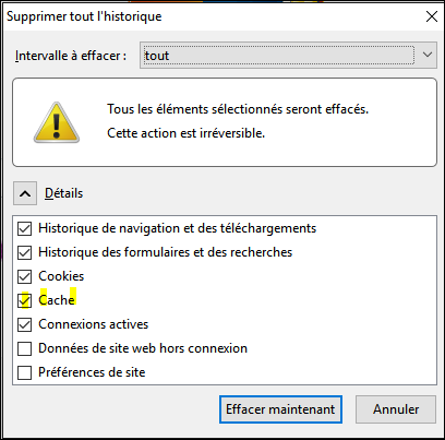 Vider le cache du navigateur sur Windows