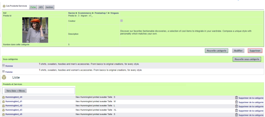 organisation des chapitres du catalogue automatique dans DoliPlus
