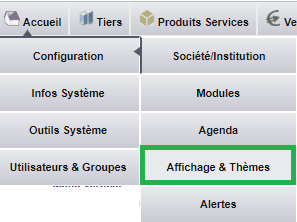 Choix des th&egrave;mes de couleur pour naviguer dans DoliPlus