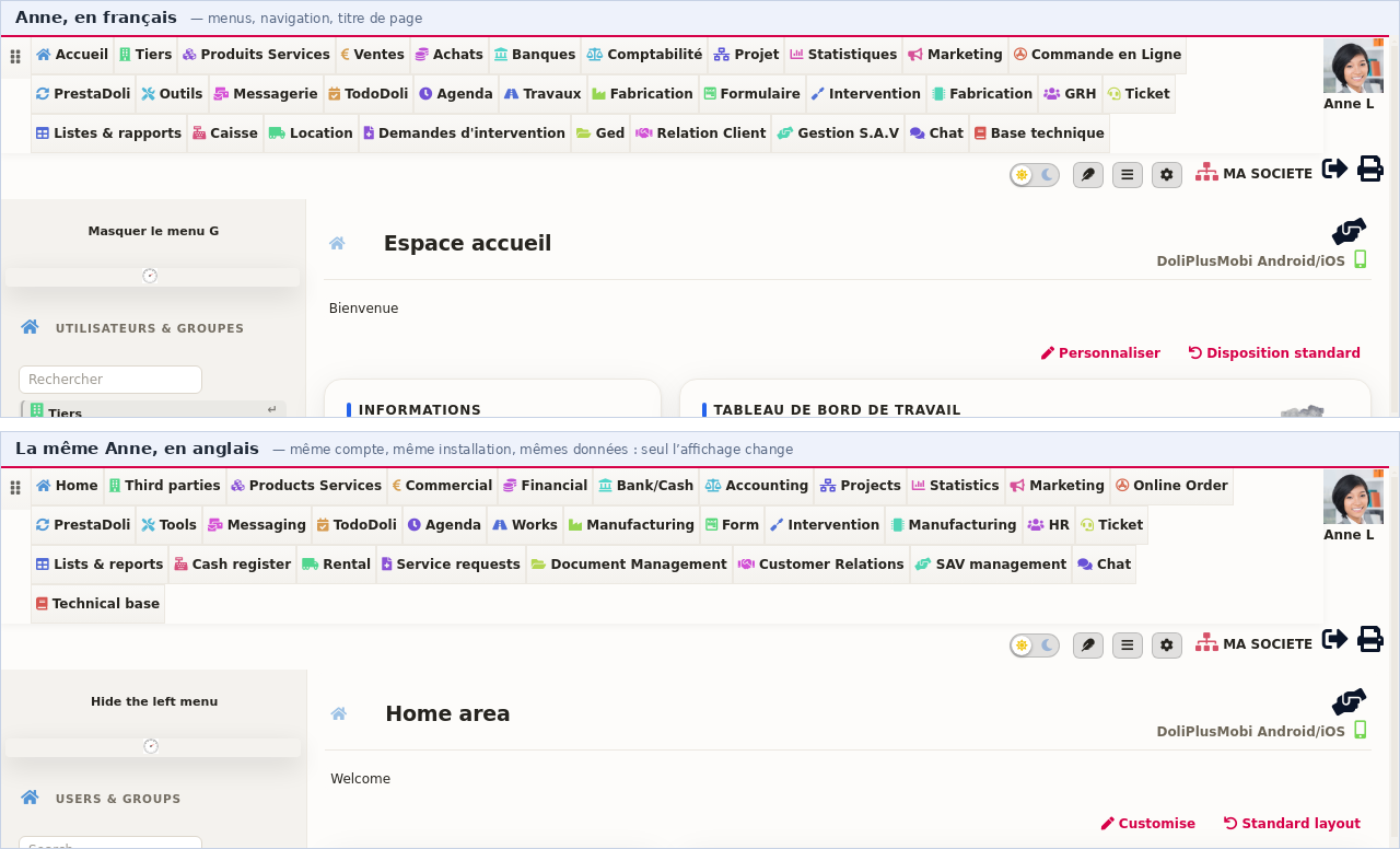 Software de gesti&oacute;n multiling&uuml;e: la misma pantalla de DoliPlus, la misma cuenta, mostrada en franc&eacute;s y luego en ingl&eacute;s