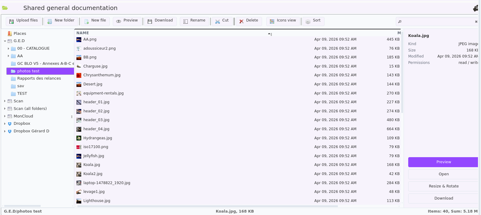 Document management software: the DoliPlus file explorer with pinned folders and the preview panel